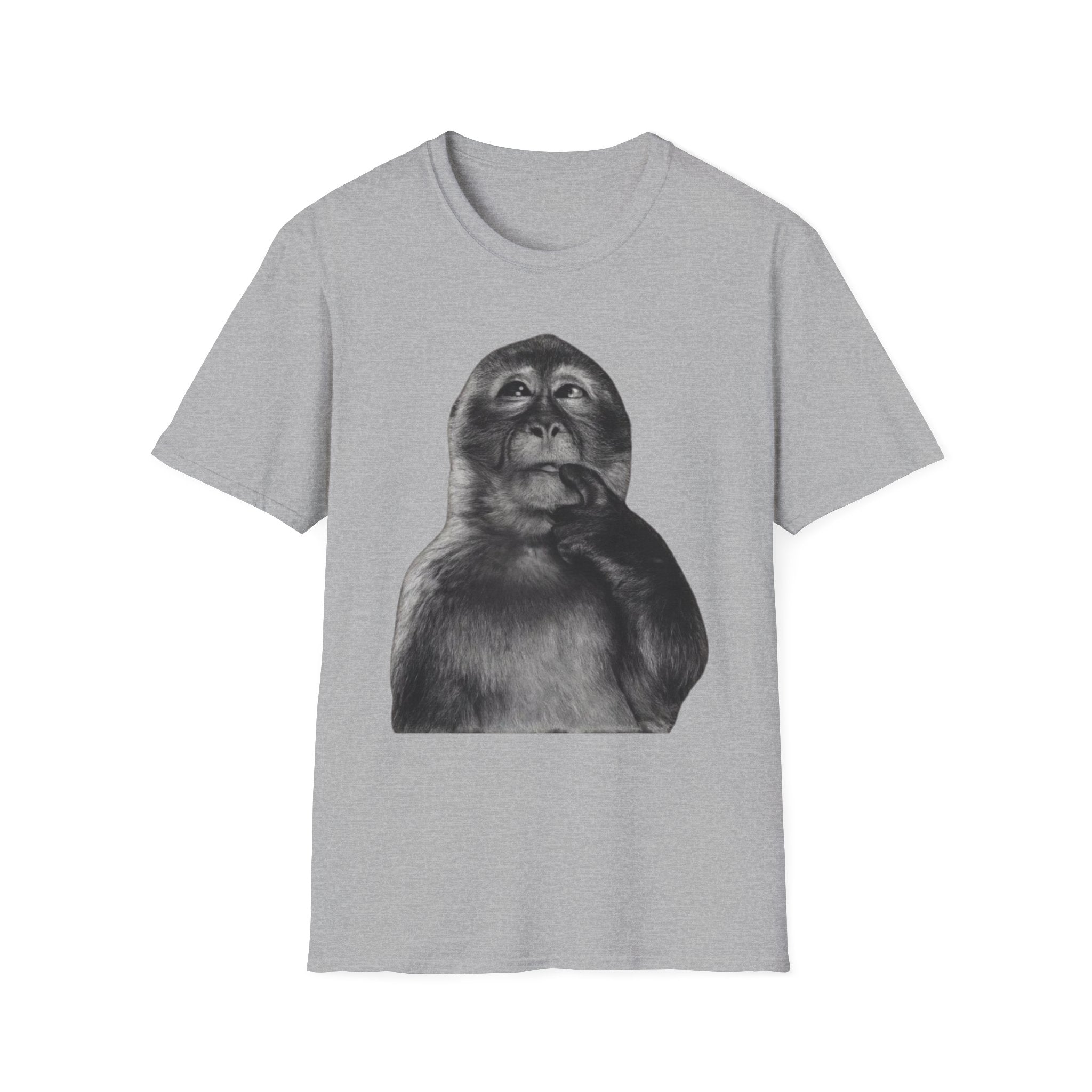 Monkey 1900s