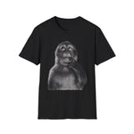 Monkey 1900s