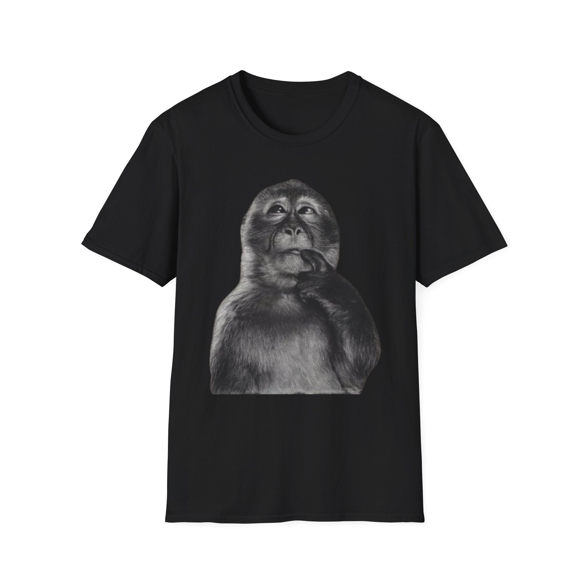 Monkey 1900s