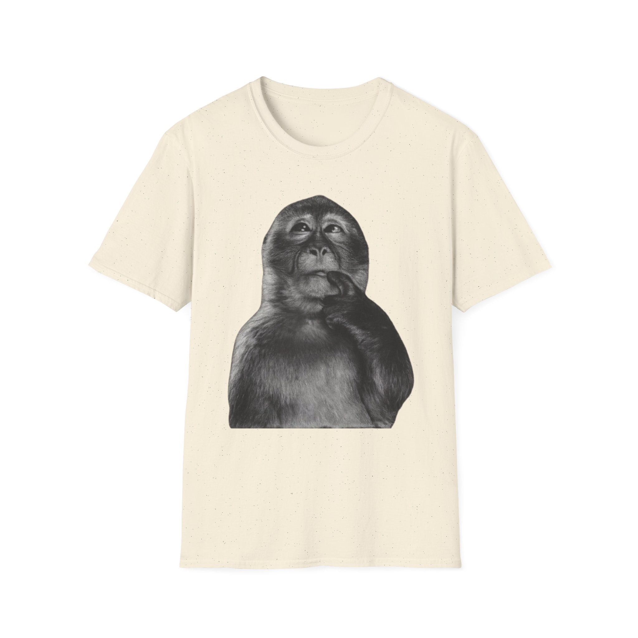 Monkey 1900s