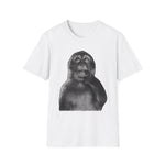 Monkey 1900s