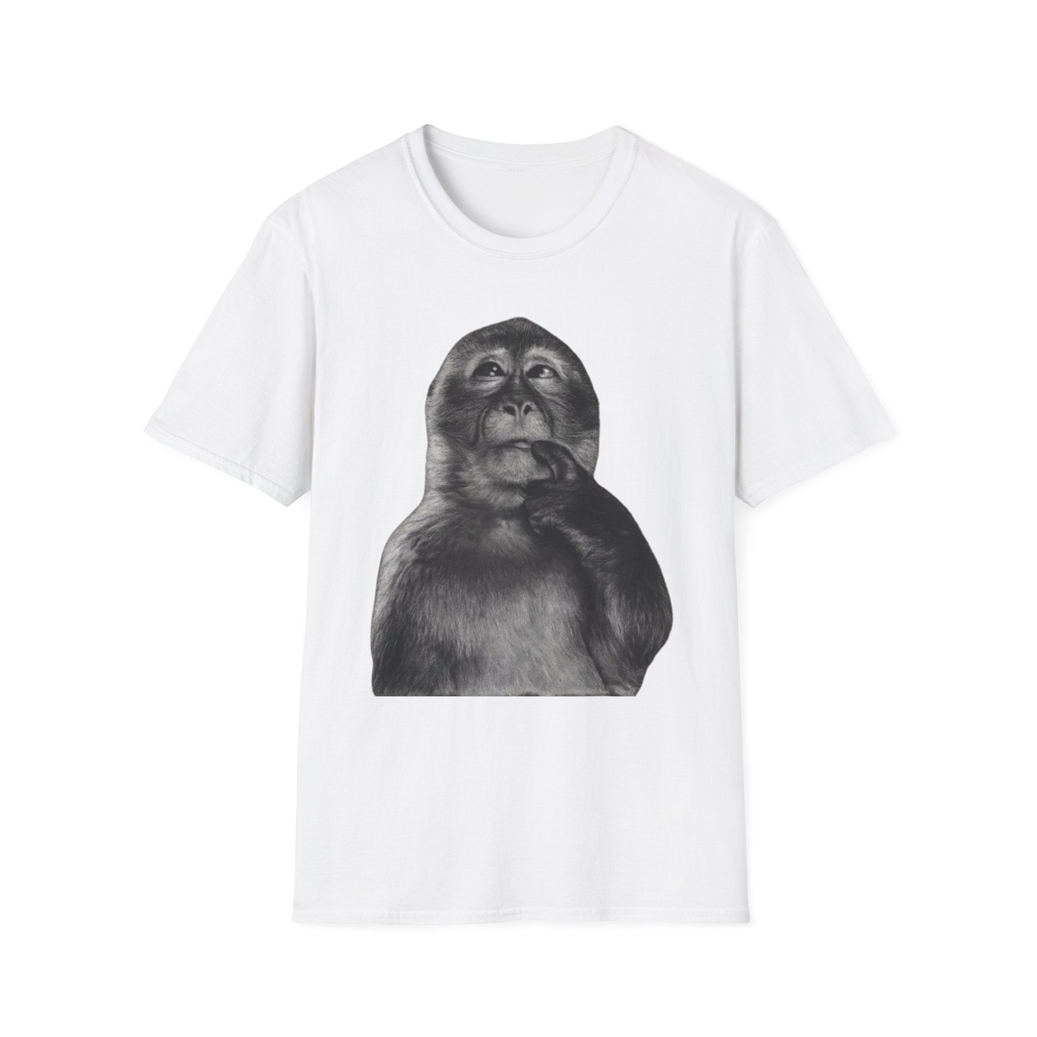Monkey 1900s