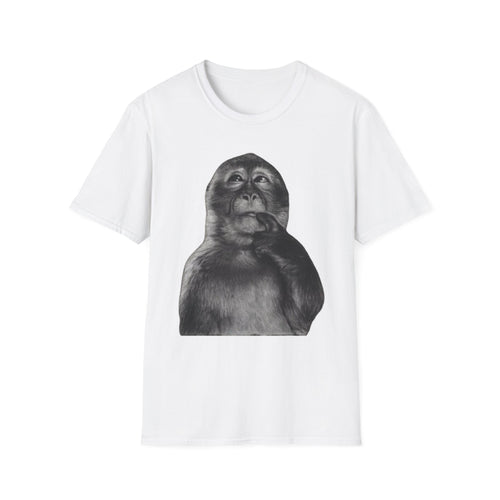 Monkey 1900s